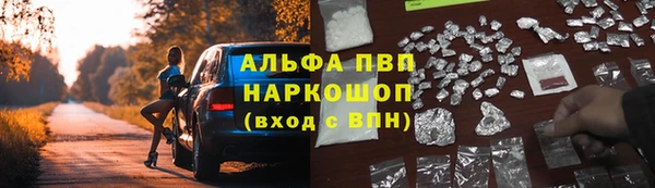 стаф Абаза