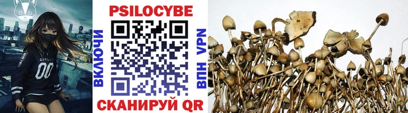 Псилоцибиновые грибы мицелий  Лебедянь 